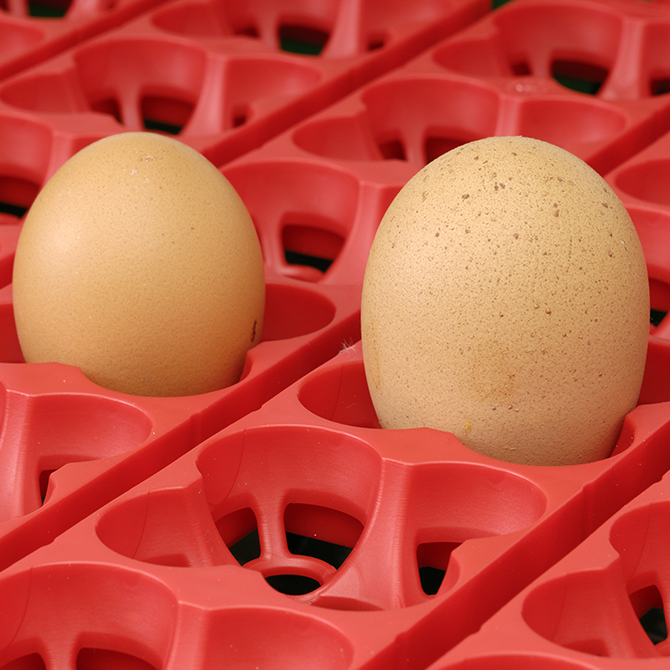 Egg Tech Incubators - Pet And Farm
