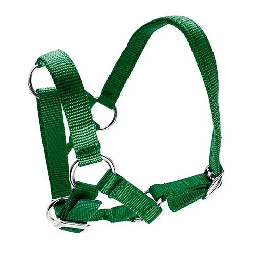 Alpaca Halter - Pet And Farm