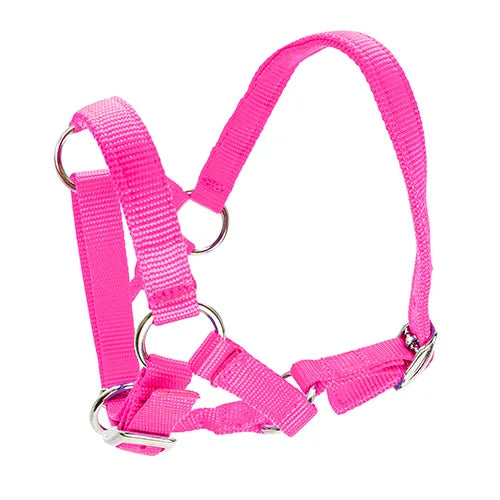 Alpaca Halter - Pet And Farm