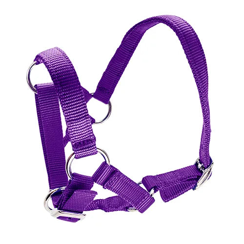 Alpaca Halter - Pet And Farm