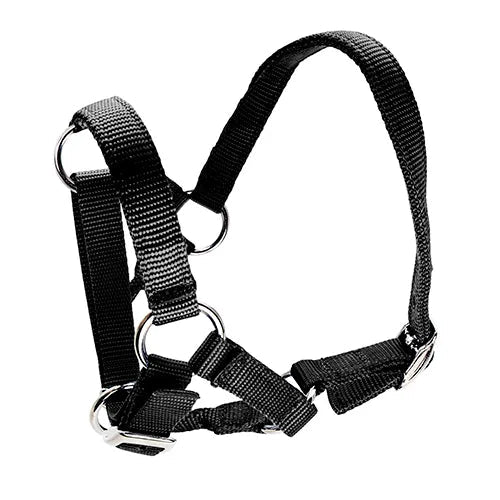 Alpaca Halter - Pet And Farm