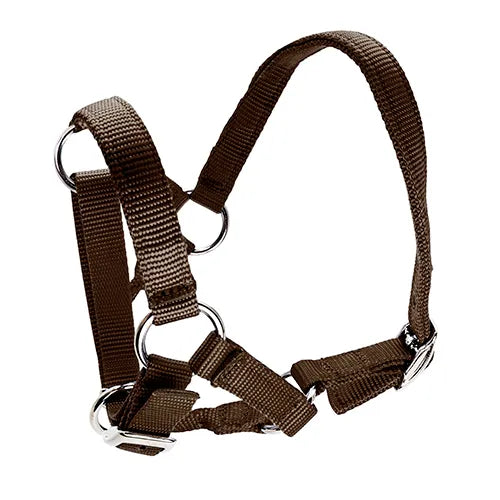 Alpaca Halter - Pet And Farm