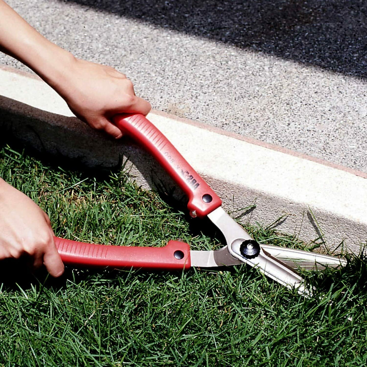 ARS Hegde Shears K-800 - Pet And Farm