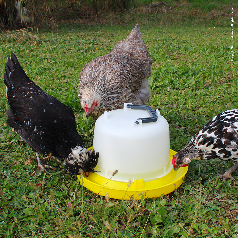 Bainbridge Supreme Poultry Drinker with Handle - 10L - Pet And Farm
