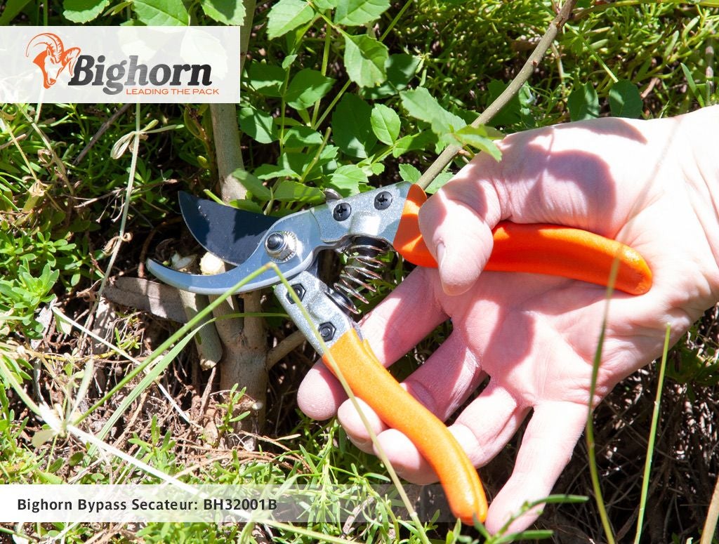 Bighorn Bypass Secateurs - Pet And Farm