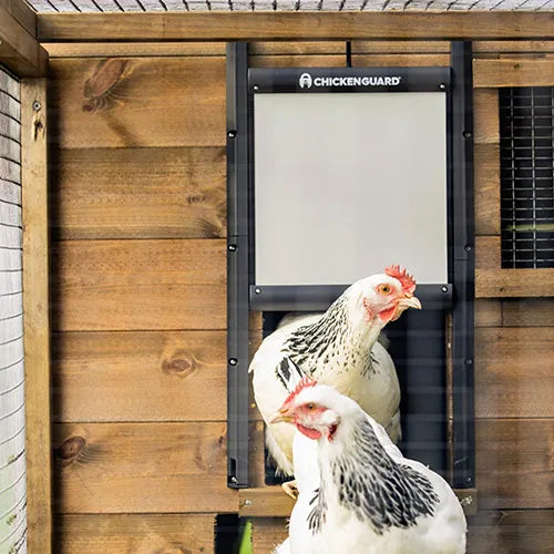 Chickenguard Self Locking Door Only - Pet And Farm