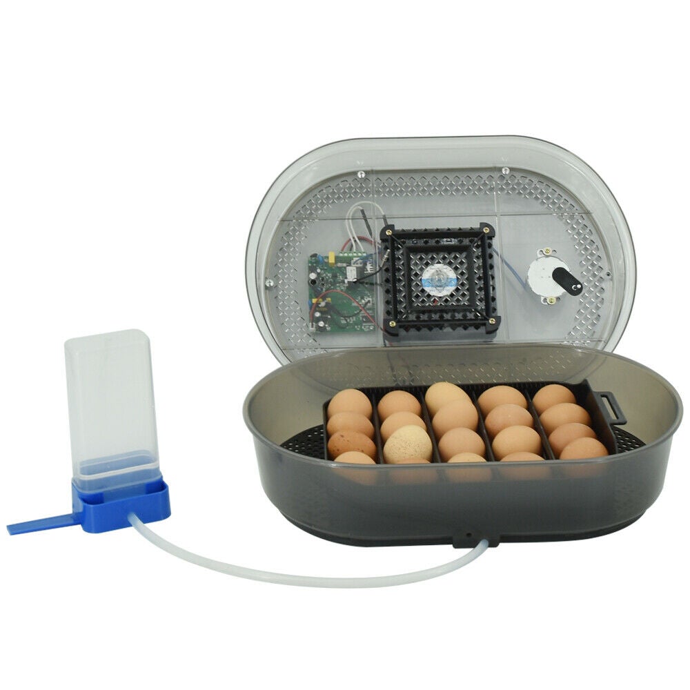 Digital 18 Eggs Incubator Fully Automatic - Pet And Farm