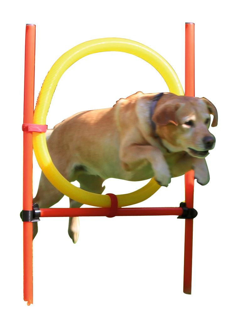 Dog Agility Set - Pet And Farm