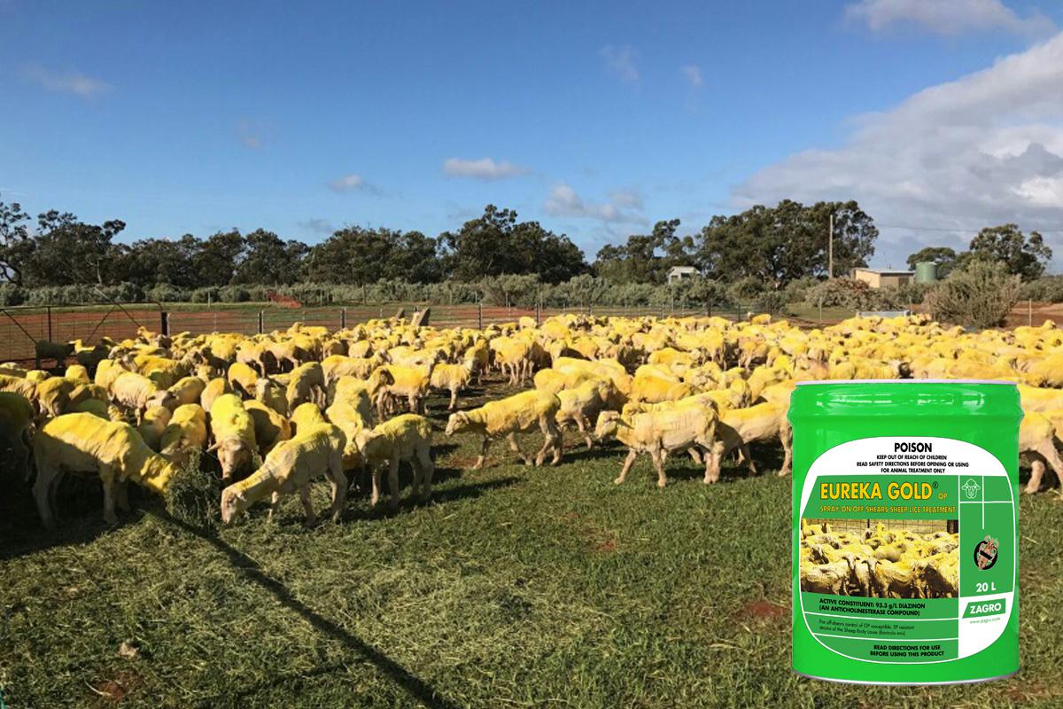 Copy of Zagro Eureka Gold 20Lt Buy 8 Free to Farm Deal - Pet And Farm