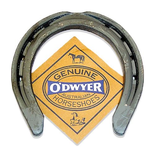 Flat Hack Horse Shoes - Pet And Farm