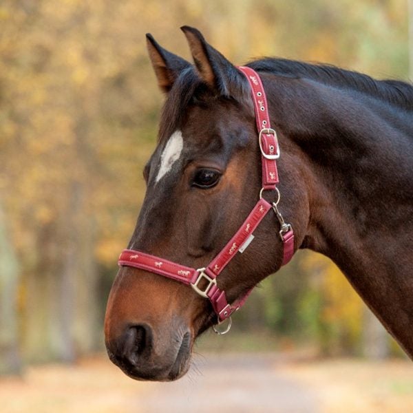 Esperia Little Horses Halter - BERRY - Pet And Farm