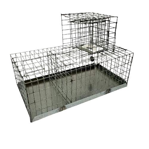 Finch Trap - Single Door Automatic - Pet And Farm