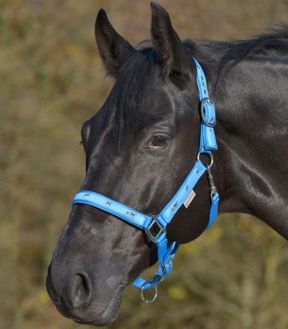Esperia Little Horses Halter - Azure - Pet And Farm
