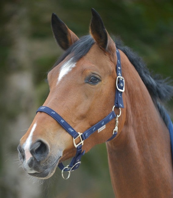 Esperia Little Horses Halter -  NAVY - Pet And Farm