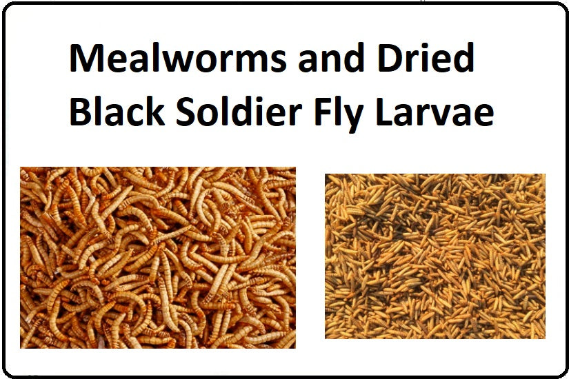 Australian Dried Black Soldier Fly Larvae - Pet And Farm