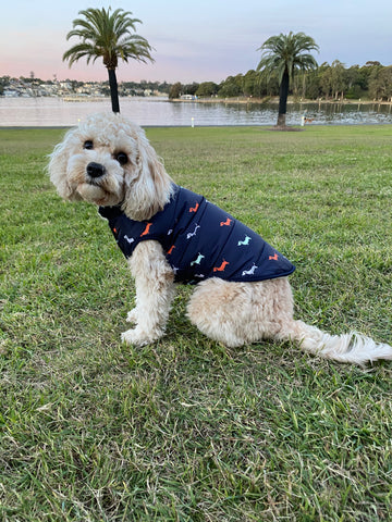 Dachshund Patten Puffer Dog Vest Coat - Pet And Farm