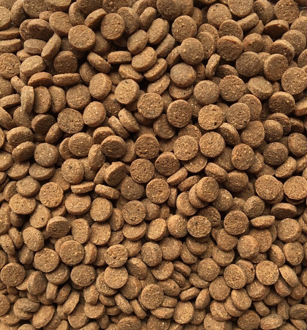 Axolotyl Pellets 80g - Pet And Farm
