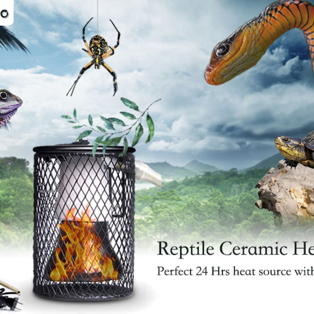 100W Reptile Ceramic Heat Lamp anti-hot Cage Light Holder Switch Chicken Brooder - Pet And Farm