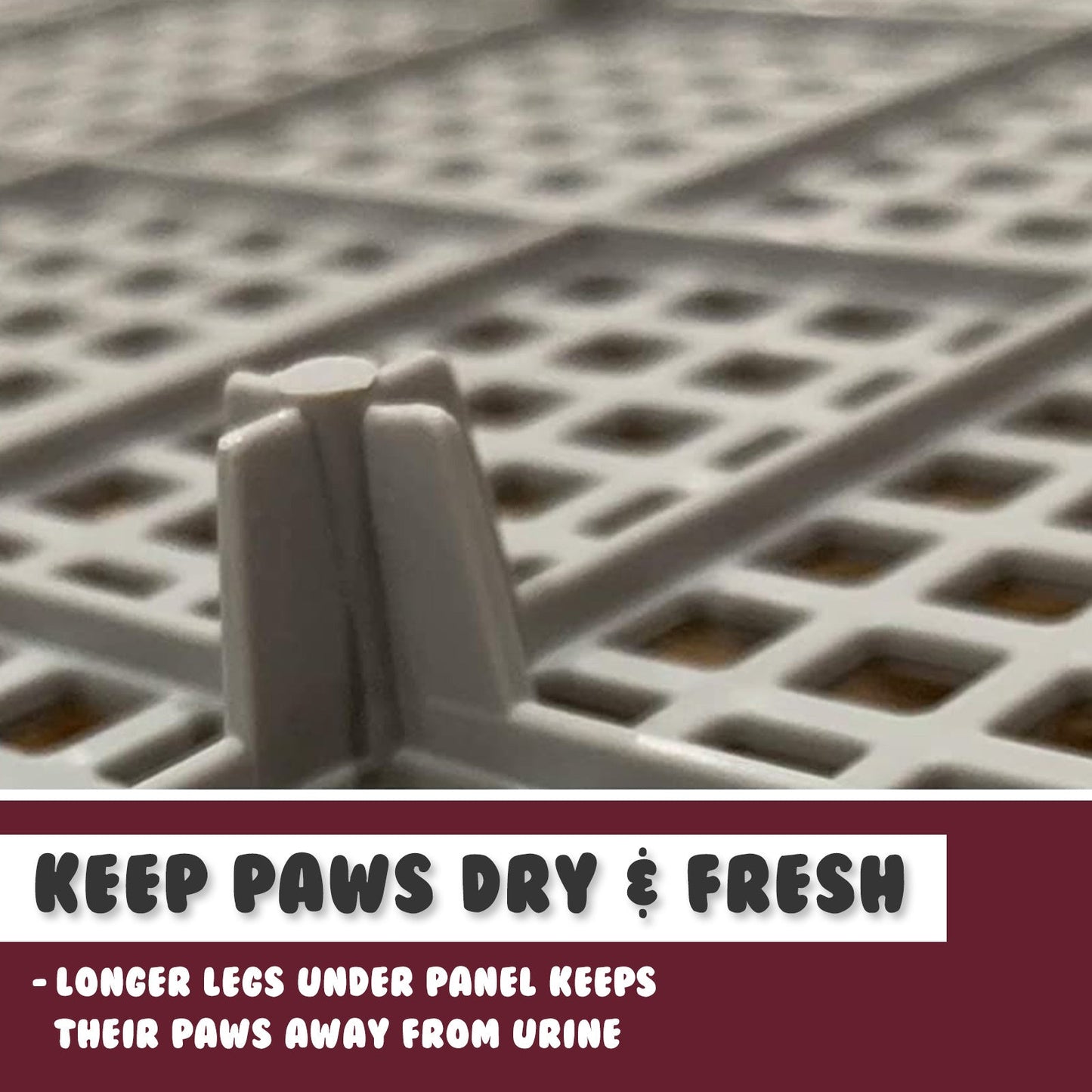 PS KOREA Wine Dog Pet Potty Tray Training Toilet Raised Walls T1 - Pet And Farm