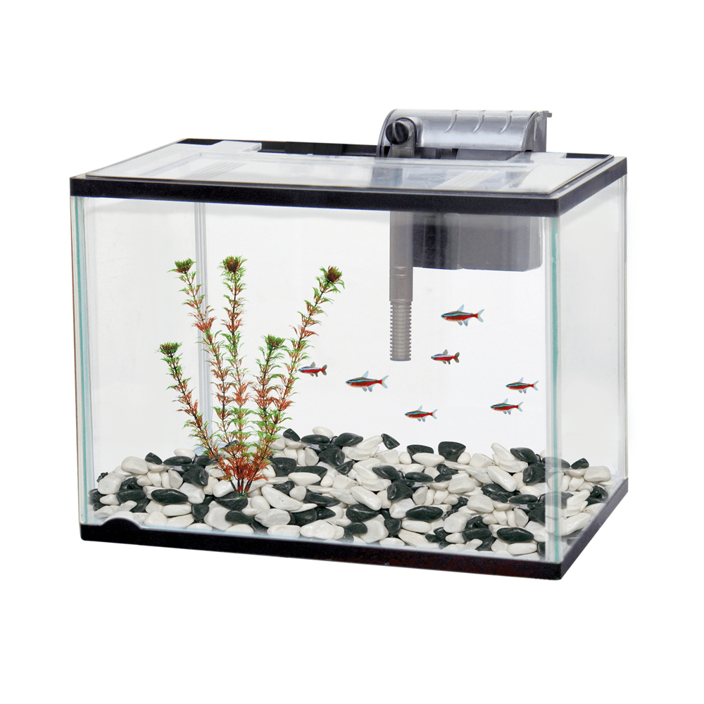 Classica Aquarium Starter Kit - Pet And Farm