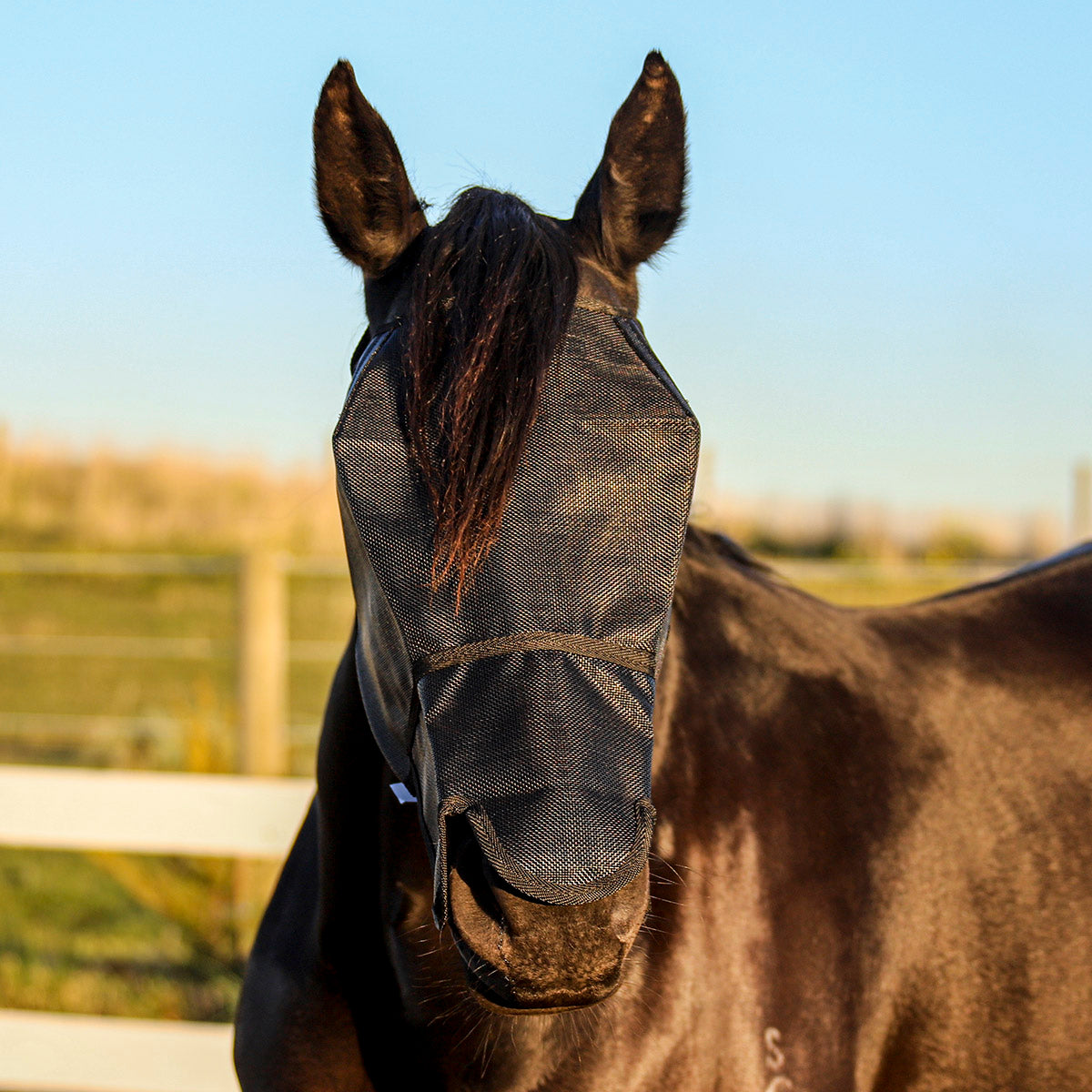 Flyveils By Design Extended Nose Fly Masks - Pet And Farm