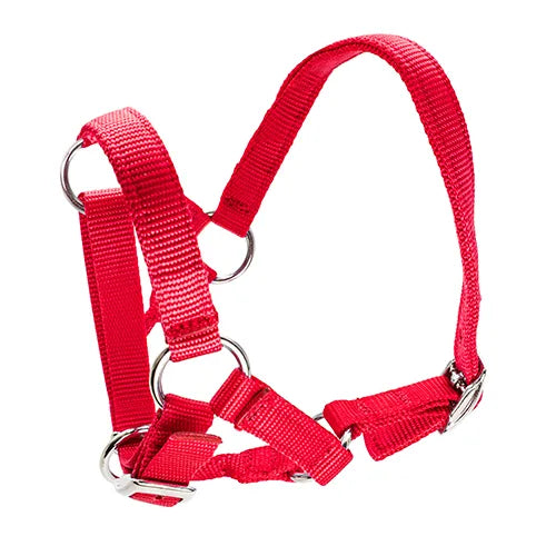 Alpaca Halter - Pet And Farm
