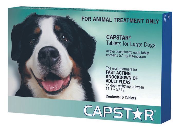 Capstar Flea Treatment Tablet 6Tab - Pet And Farm