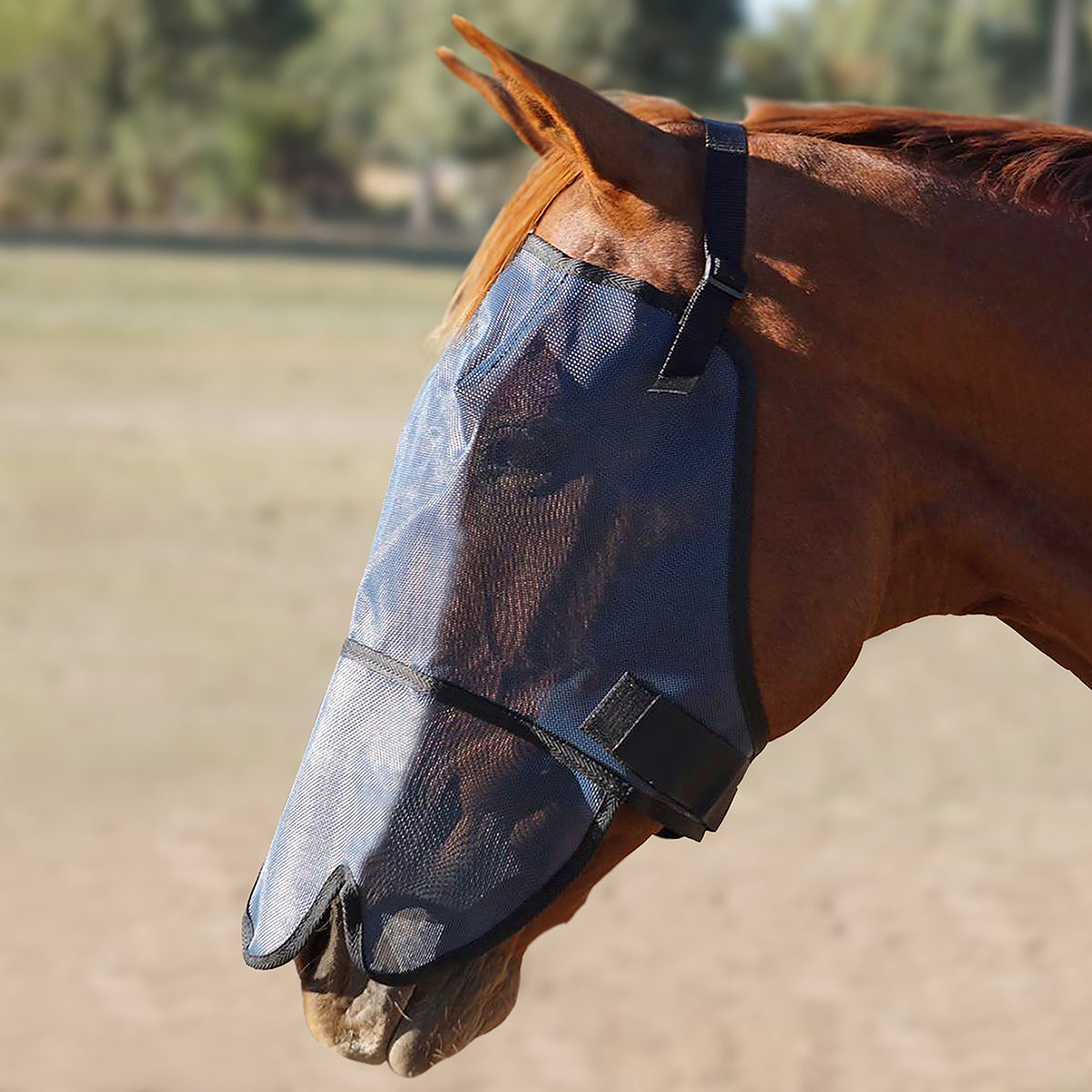 Flyveils By Design Extended Nose Fly Masks - Pet And Farm