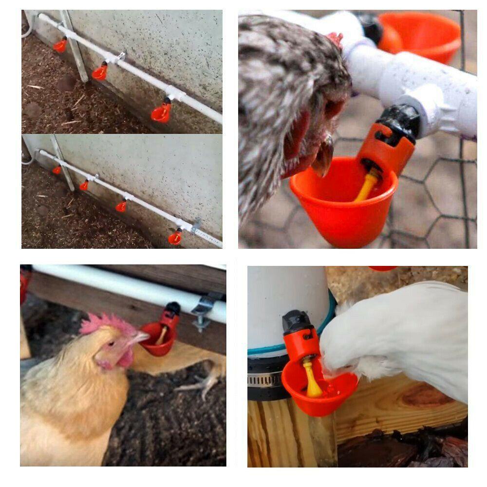 Automatic Poultry Water Drinking Cup. - Pet And Farm