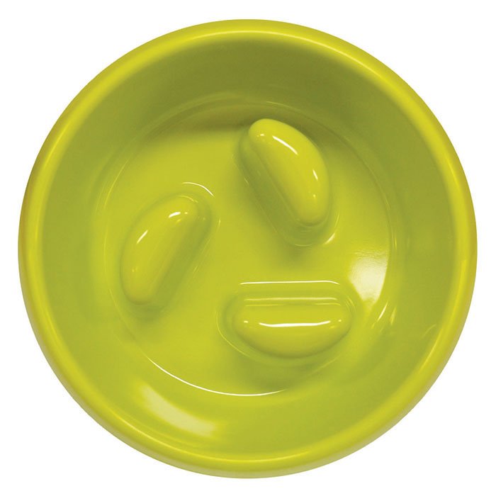 Scream Slow Dog Feeder Bowl 750ml - Pet And Farm 