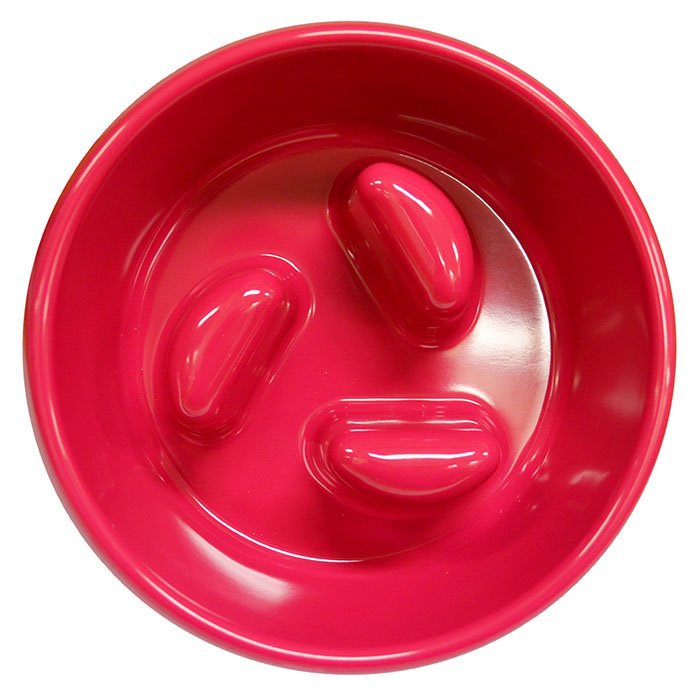 Scream Slow Dog Feeder Bowl 750ml - Pet And Farm 