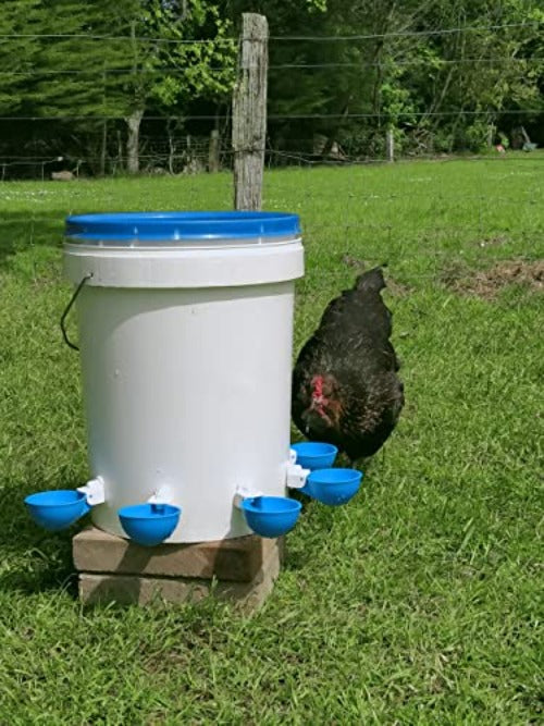 Cheecky Chooka DIY Poultry Drinker Cups - Pet And Farm 