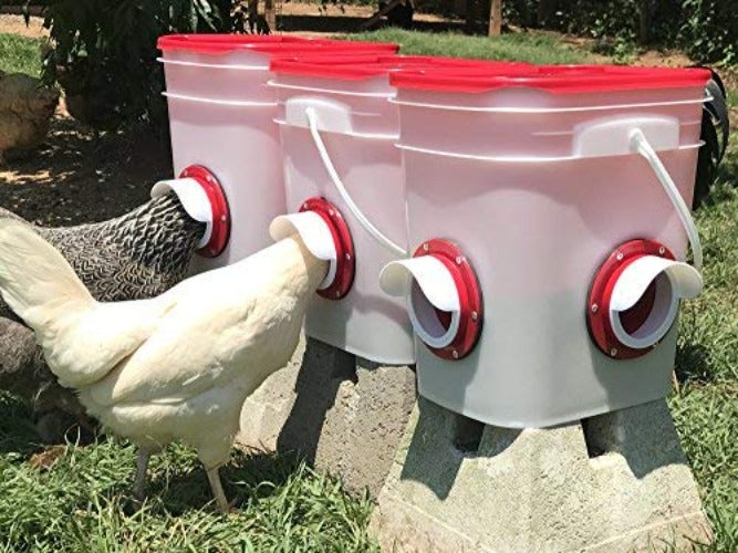 Cheecky Chooka DIY Poultry Feeder Port - Pet And Farm 