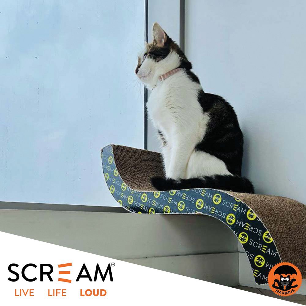 Scream S-CURVE CAT SCRATCHER Loud Green/Black 55x23.5x12cm - Pet And Farm 