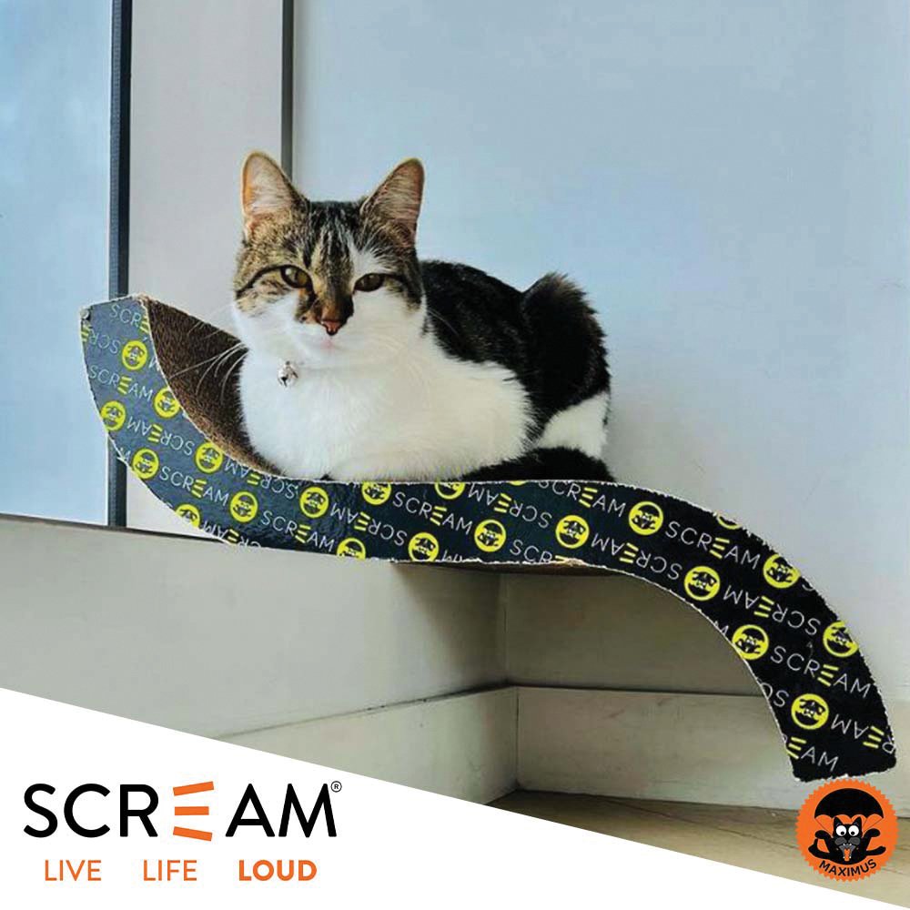 Scream S-CURVE CAT SCRATCHER Loud Green/Black 55x23.5x12cm - Pet And Farm 