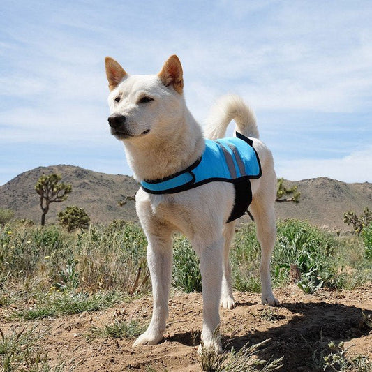 ZippyPaws COOLING VEST - Pet And Farm