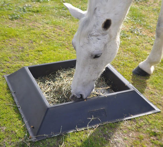 Can't Tip Feeder Trough 25 litre - Pet And Farm