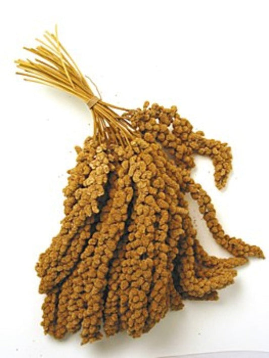 Millet Spray 1kg - Pet And Farm 