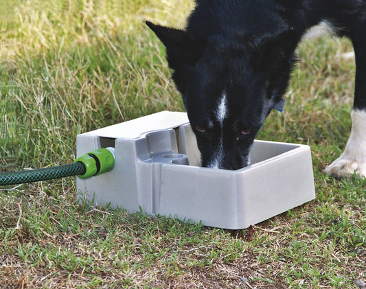 Bainbridge Automatic Pet Waterer 2Lts - Pet And Farm