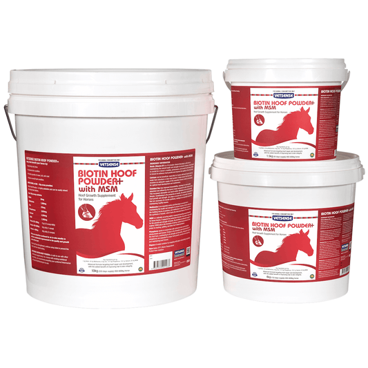 Vetsense Biotin Hoof Powder+ MSM - Pet And Farm 