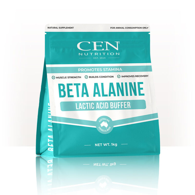 CEN Beta Alanine Lactic Acid Buffer 1KG – Equine And Pet