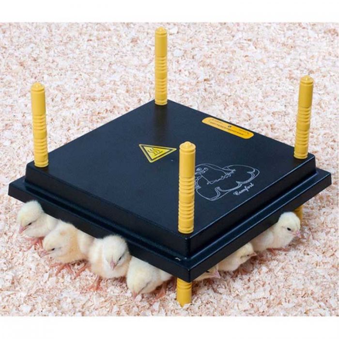 Chick Brooder Warmer 25x25cm - Pet And Farm 