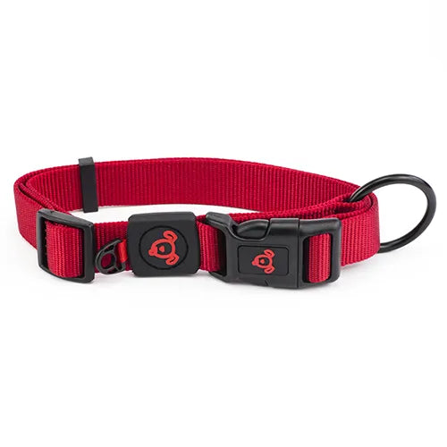 Nylon Dog Collar - Pet And Farm 