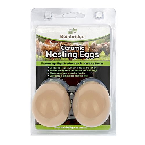 Poultry Nesting Eggs – Ceramic 2 Pack - Pet And Farm