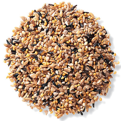 Finch Mix - Pet And Farm