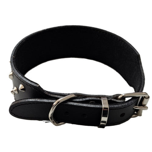 Leather Staffy Studded Collar - Pet And Farm 