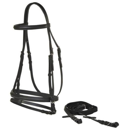 Landsborough Economy Eventing Bridle (Black) - Pet And Farm 