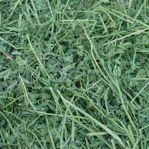 Lucerne Pet Hay - Pet And Farm
