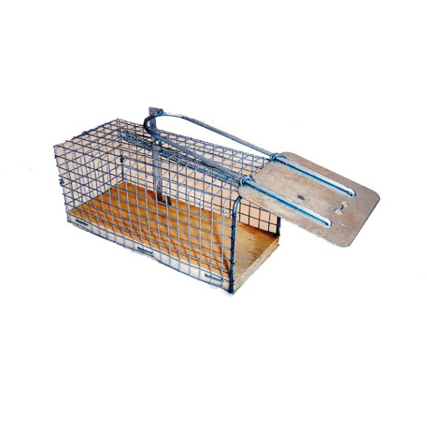 Rodent Trap – Cage  Live Capture - Pet And Farm 