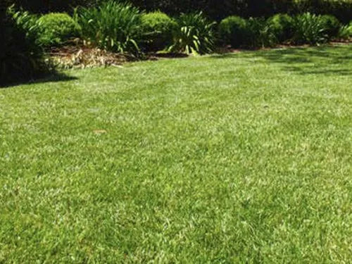 Hardware Lawn Blend - Pet And Farm